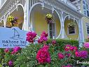 558 Main Street, Mahone Bay, NS 