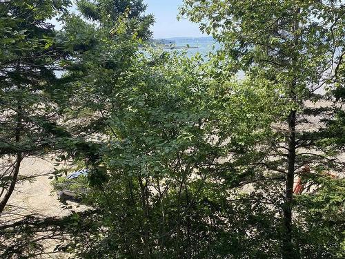 222 Old Trunk 1, Deep Brook, NS 