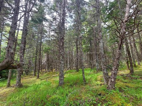 Lot 1A-79 Maple Dr, Cape George Estates, NS 