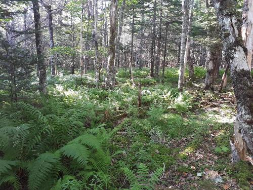 Lot 1A-79 Maple Dr, Cape George Estates, NS 