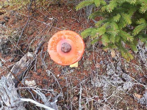 Lot 1A-79 Maple Dr, Cape George Estates, NS 