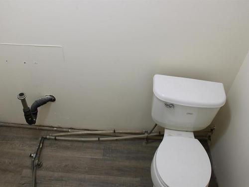 115 Robertson Street, Thunder Bay, ON - Indoor Photo Showing Bathroom