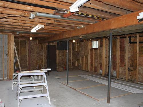 115 Robertson Street, Thunder Bay, ON - Indoor Photo Showing Basement