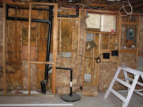 115 Robertson Street, Thunder Bay, ON - Indoor Photo Showing Basement