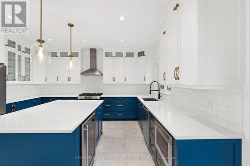 441 Blackleaf Drive, Ottawa, ON - Indoor Photo Showing Kitchen With Upgraded Kitchen