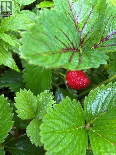 809 Weir Crescent, Warman, SK - Outdoor