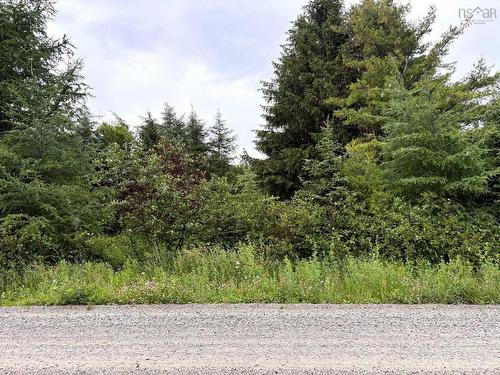 Upper Southwest Mabou Road, Glencoe Station, NS 