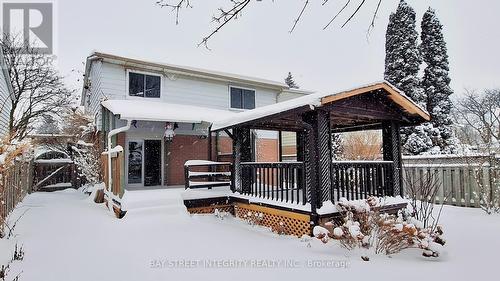 493 Sandford Street, Newmarket, ON - Outdoor With Deck Patio Veranda