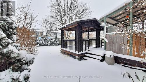 493 Sandford Street, Newmarket, ON - Outdoor