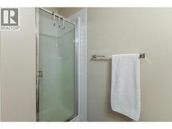 stand up shower in guest bath - 