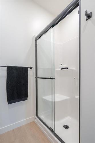 2 Wild Plum Lane, Steinbach, MB - Indoor Photo Showing Bathroom