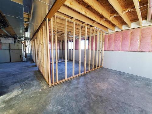 2 Wild Plum Lane, Steinbach, MB - Indoor Photo Showing Basement