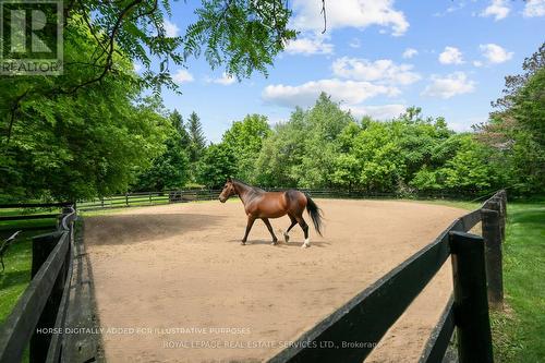 Enjoy a Horse Paddock with Riding Ring - 2315 8 Sideroad, Burlington, ON - Outdoor