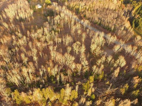 Brookland Road, Brookland, NS 