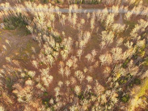 Brookland Road, Brookland, NS 