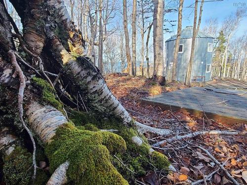 1371 Lighthouse Road, Bay View, NS 