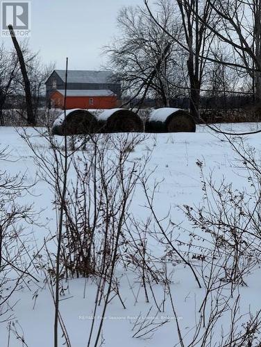 Pt 42 Schell Farm E, Clearview, ON 