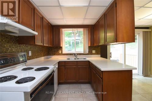 30 Terrace Drive, Hamilton, ON - Indoor Photo Showing Kitchen With Double Sink