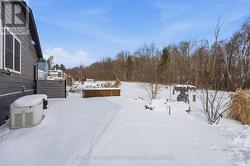 Professionally Landscaped and Raised Garden Bed - 