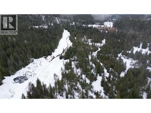 1925 Mcdaniels Road, Castlegar, BC 