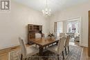 241 Robert Street, Hamilton, ON  - Indoor Photo Showing Dining Room 