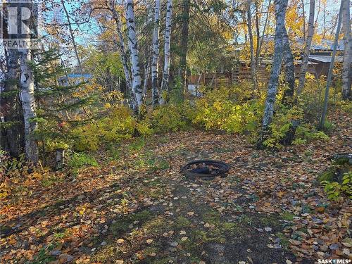207 Pine Drive, Tobin Lake, SK - Outdoor With View
