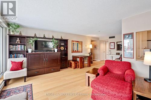 103 - 555 Wilbrod Street, Ottawa, ON - Indoor Photo Showing Living Room