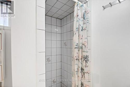 35 Trenholme Crescent, Hamilton, ON - Indoor Photo Showing Bathroom