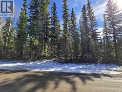 LOT 207 INGENTO ROAD Deka Lake / Sulphurous / Hathaway Lakes, BC V0K 1X3