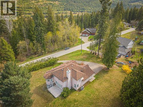 4339 View Ridge Road, Bonnington, BC - Outdoor With View