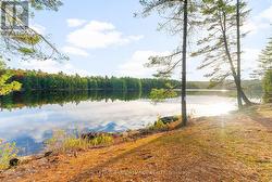 12 VOYAGEUR BAY TRAIL Whitewater Region, ON K0J 1V0