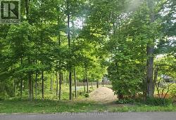 81 POLISH AVENUE Penetanguishene, ON L9M 1W8