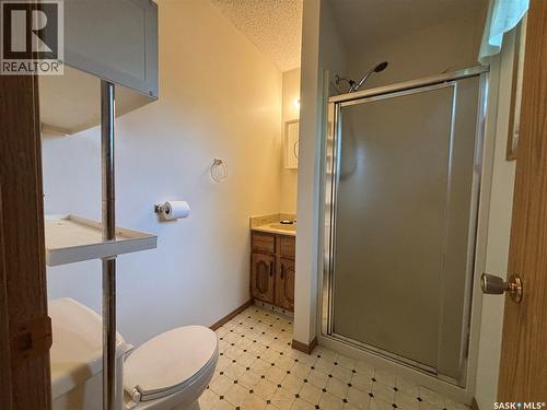 52 Harrigan Crescent, Maple Creek, SK - Indoor Photo Showing Bathroom