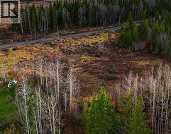 5390 SHELLBURN ROAD Prince George, BC V2N 6B6