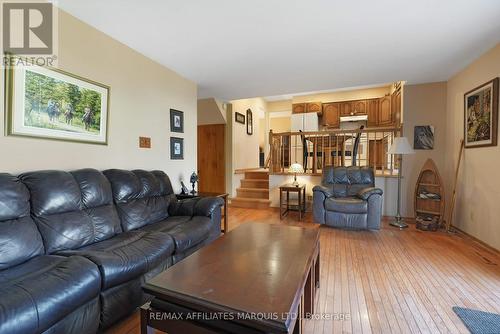 605 Kirkwood Street, Cornwall, ON - Indoor Photo Showing Living Room