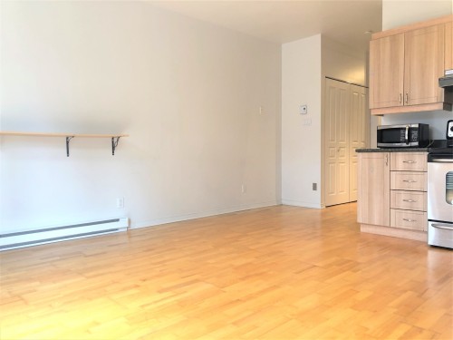 Overall view - 208A-4821 Boul. St-Laurent, Montréal (Le Plateau-Mont-Royal), QC - Indoor Photo Showing Kitchen