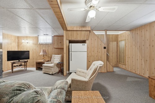 37 Central Park Avenue, Hamilton, ON - Indoor Photo Showing Basement