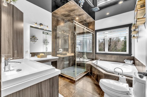 Salle de bains - 40 Ch. Des Échassiers, Val-Des-Monts, QC - Indoor Photo Showing Bathroom