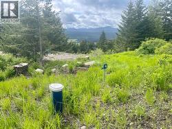 1355 TIMBERWOLF Trail Rock Creek, BC V0H 1N1