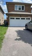 BSMT - 1358 BEAUTY BUSH COURT Mississauga, ON L5V 1K4