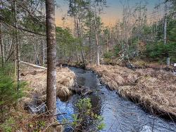 0 Merriwold Lane Caribou Marsh, NS B1M 1C9