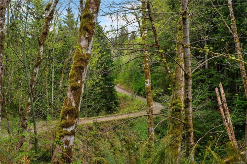 4901 Argonaut Rd, Campbell River, BC 
