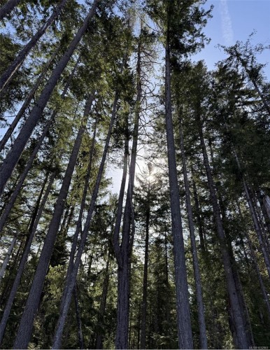 Lot B* Anderson Ave, Bowser, BC 