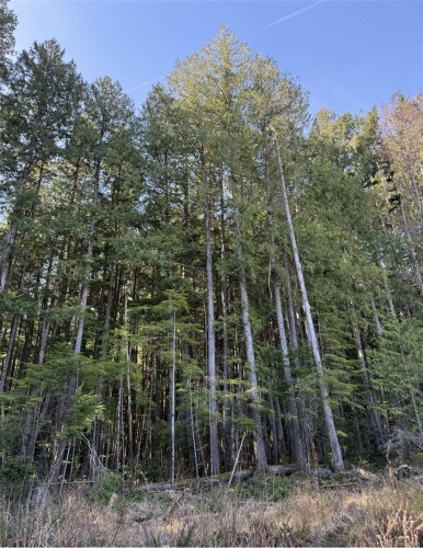 Lot B* Anderson Ave, Bowser, BC 