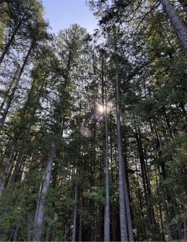 Lot B* Anderson Ave, Bowser, BC 