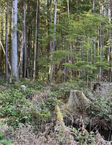 Lot B* Anderson Ave, Bowser, BC 