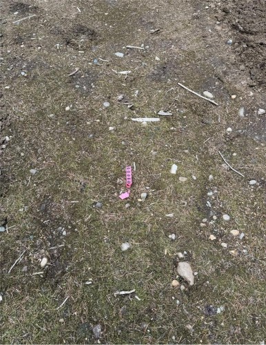 Lot B* Anderson Ave, Bowser, BC 