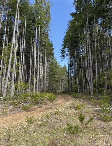 Lot B* Anderson Ave, Bowser, BC 