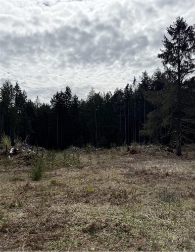 Lot B* Anderson Ave, Bowser, BC 