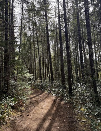 Lot B* Anderson Ave, Bowser, BC 